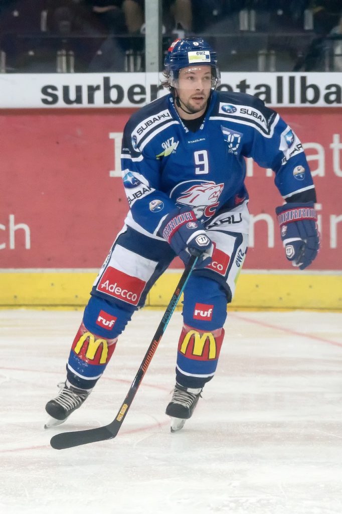 sports, player, hockey-6801528.jpg