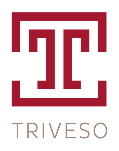 Triveso AG, Versicherungsbroker